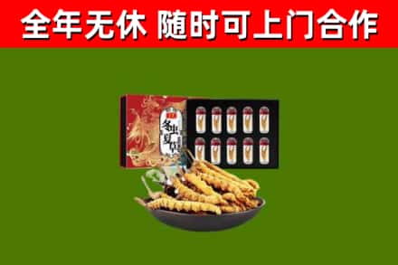 黔西回收冬虫夏草价格